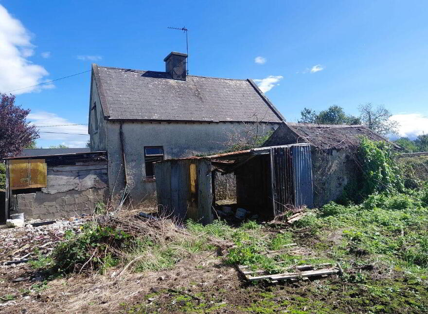 Newtown, Galbally, E34V076