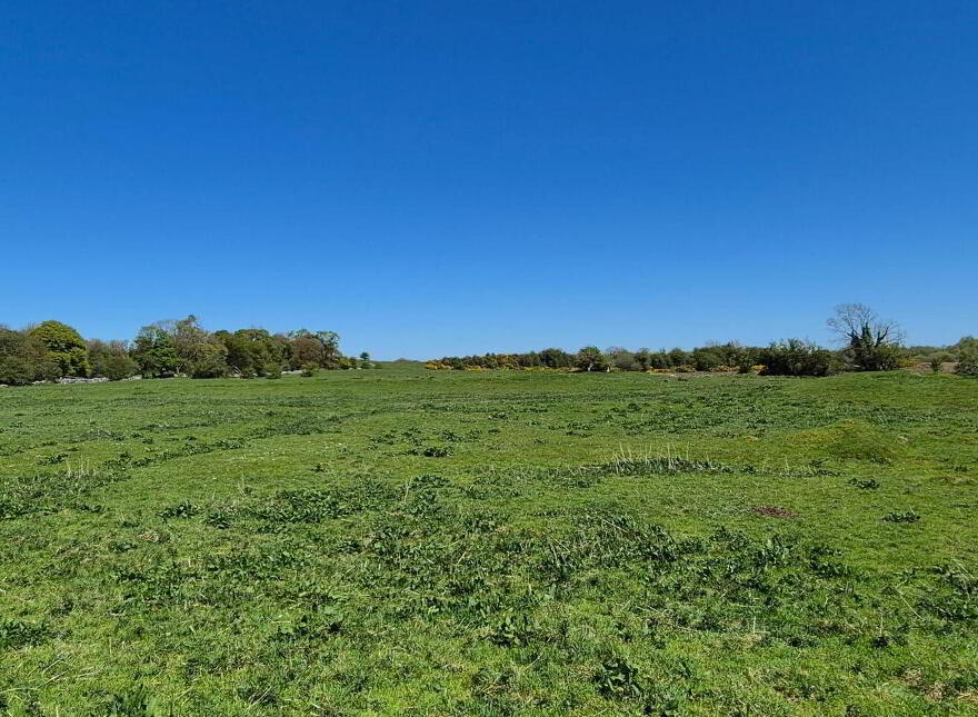 Bermingham House, Bermingham, Tuam, H54DP94