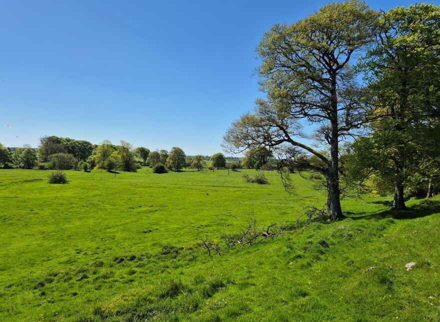 Bermingham House, Bermingham, Tuam, H54DP94
