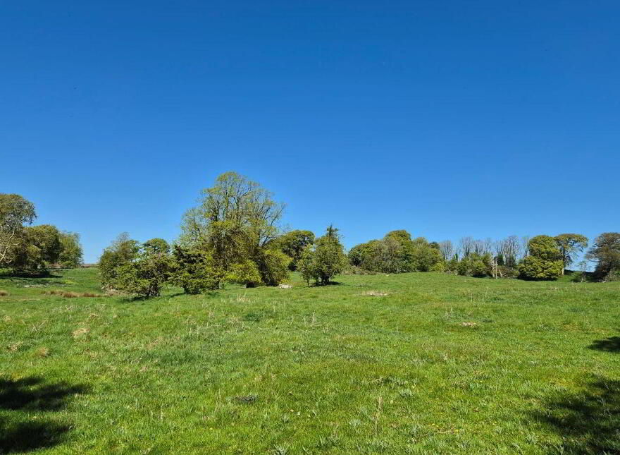 Bermingham House, Bermingham, Tuam, H54DP94