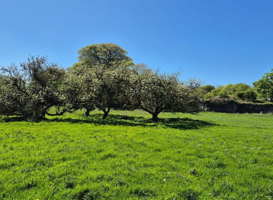 Bermingham House, Bermingham, Tuam, H54DP94