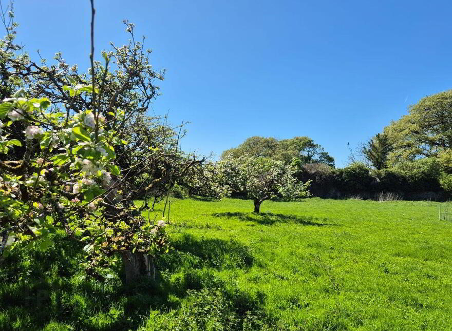 Bermingham House, Bermingham, Tuam, H54DP94