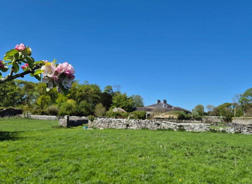 Bermingham House, Bermingham, Tuam, H54DP94
