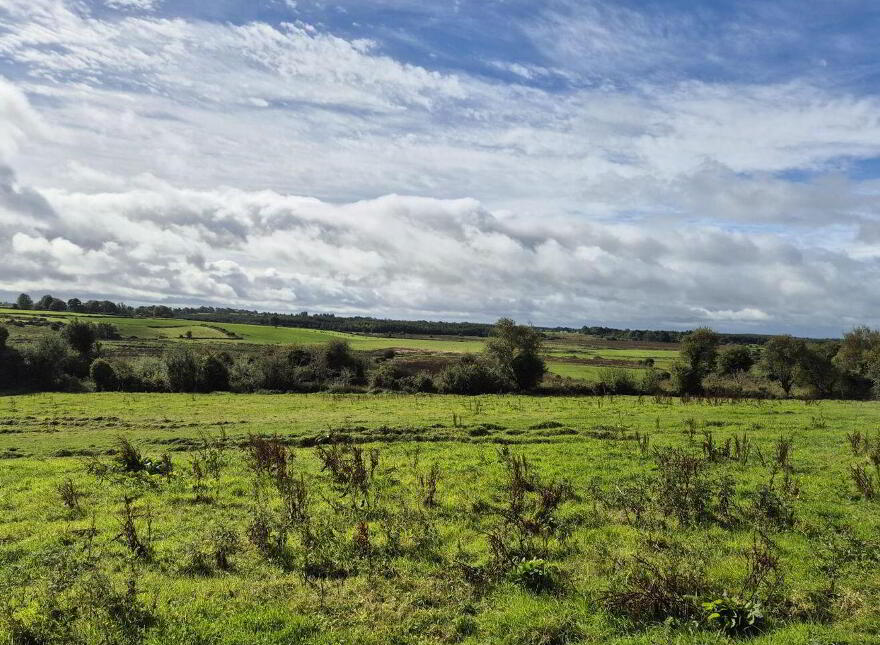Doonmacreena, Irishtown, F12X8H0