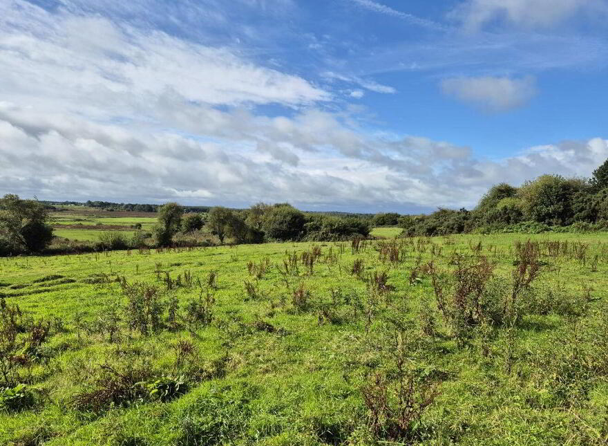 Doonmacreena, Irishtown, F12X8H0