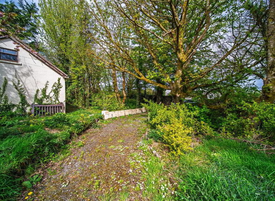 Lissadrone, Killogeary, Killogeary, F26YY26
