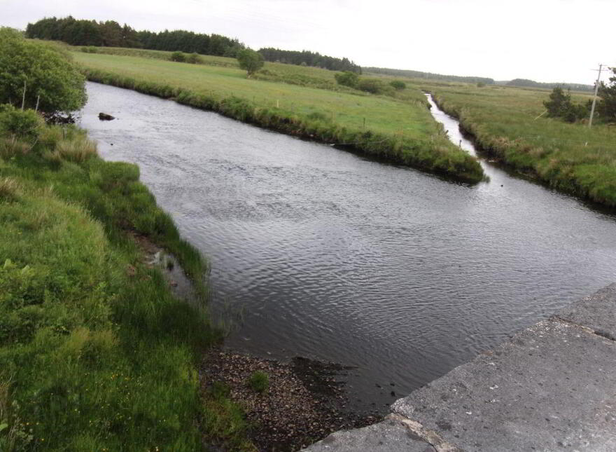 Bellacorick, Ballina, Bellacorick, F26Y409