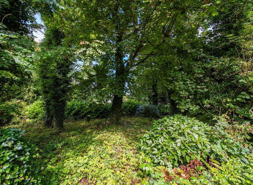Currower House, Currower, Attymass, Ballina, F26HF61