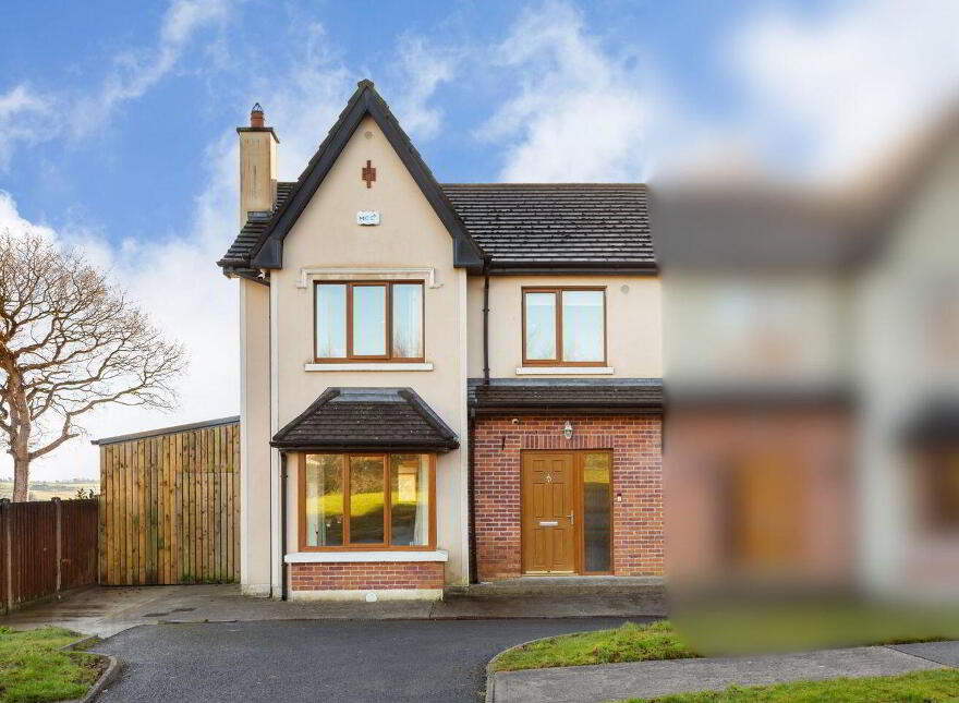11 Old Forest, Bunclody, Y21RK12