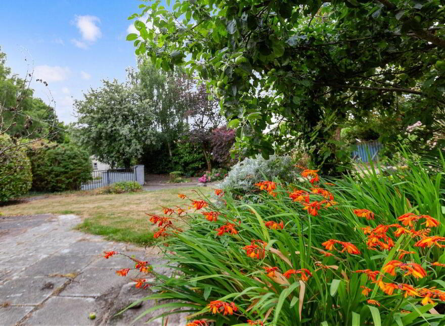 Main Street, Clonegal, Y21A8D5