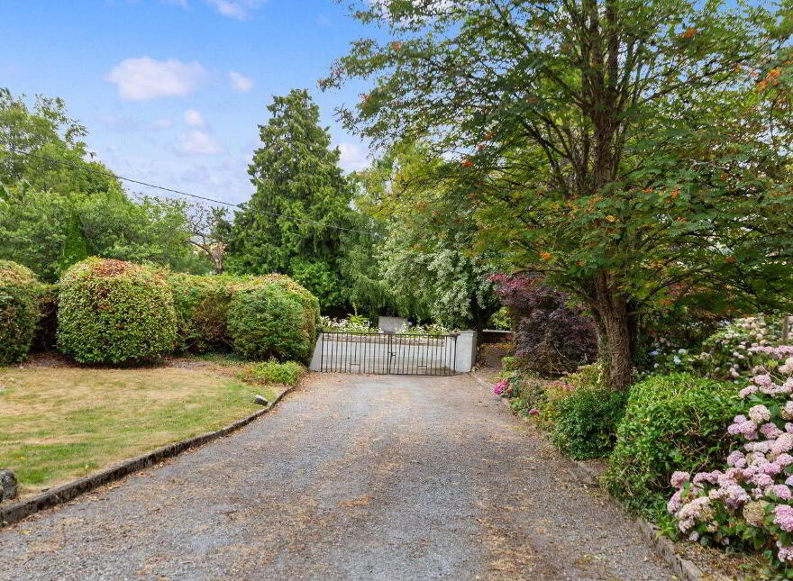 Main Street, Clonegal, Y21A8D5