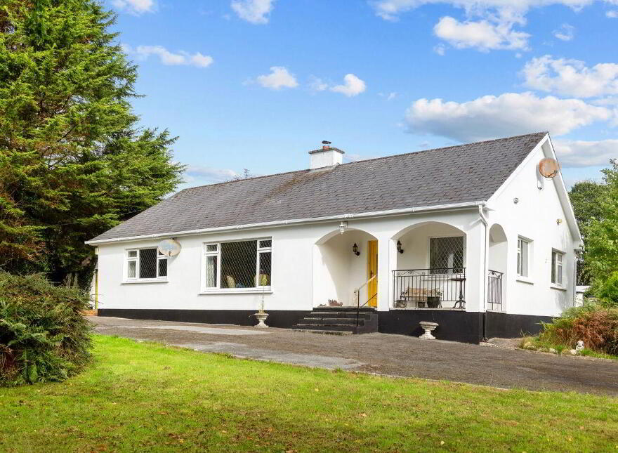 Raheengraney, Clonegal, Y21PY96 photo