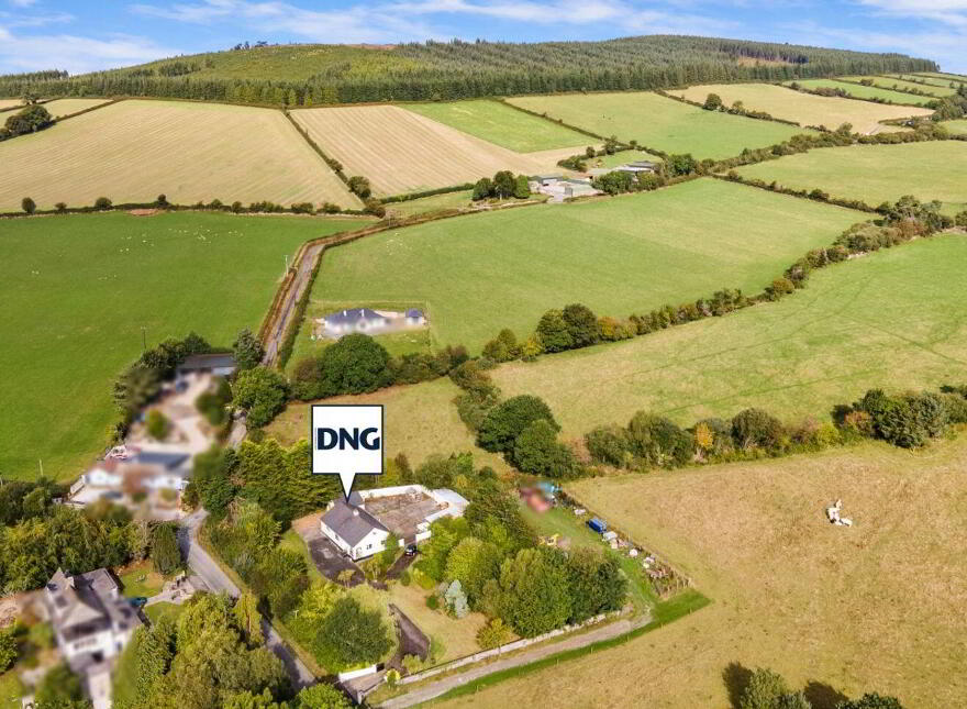 Raheengraney, Clonegal, Y21PY96