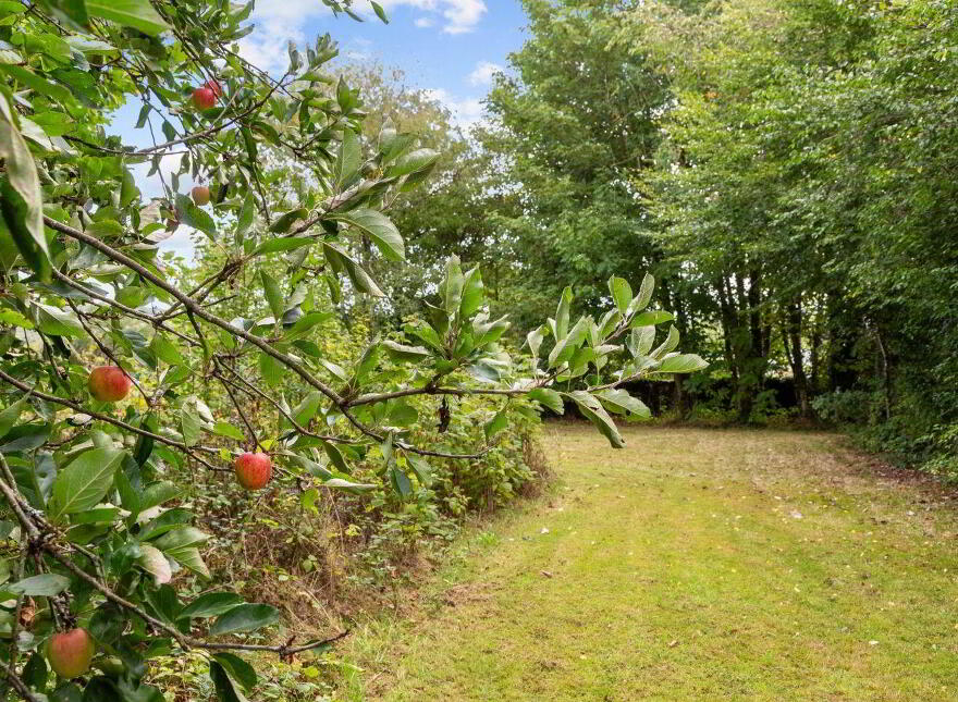 Raheengraney, Clonegal, Y21PY96