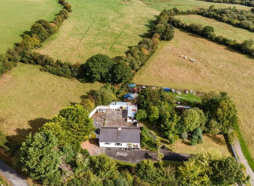 Raheengraney, Clonegal, Y21PY96
