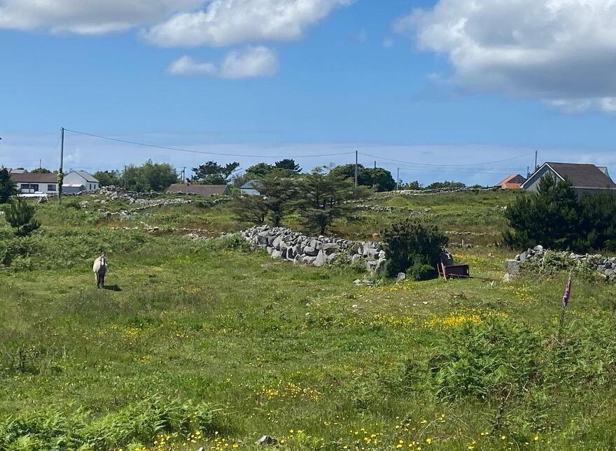 Doire Fhatharta Mor, Carraroe