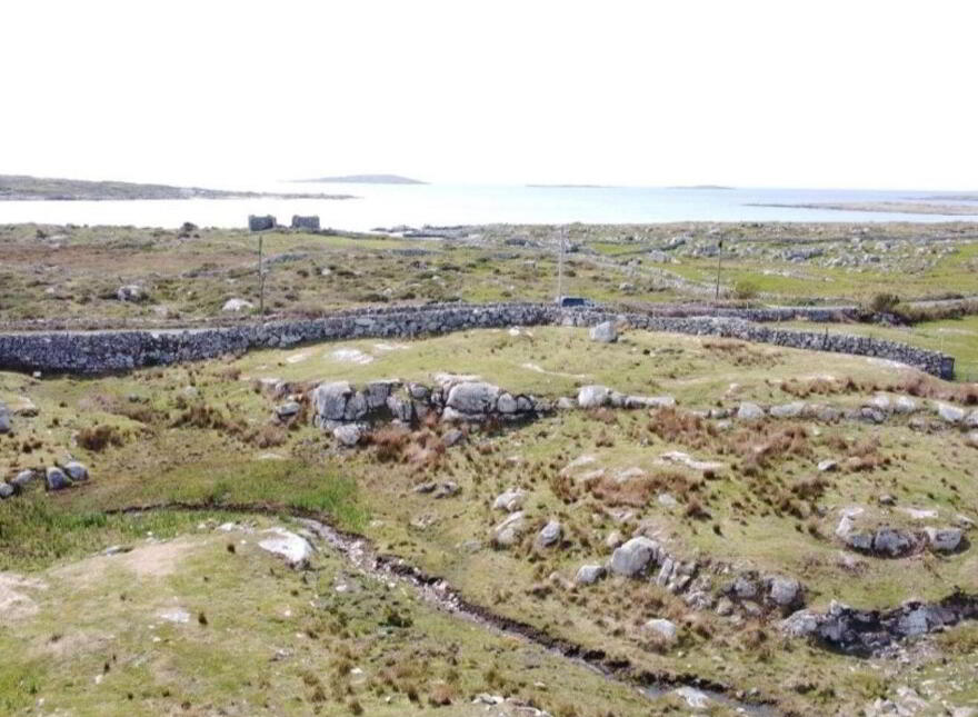 Moyrus, Moyrus