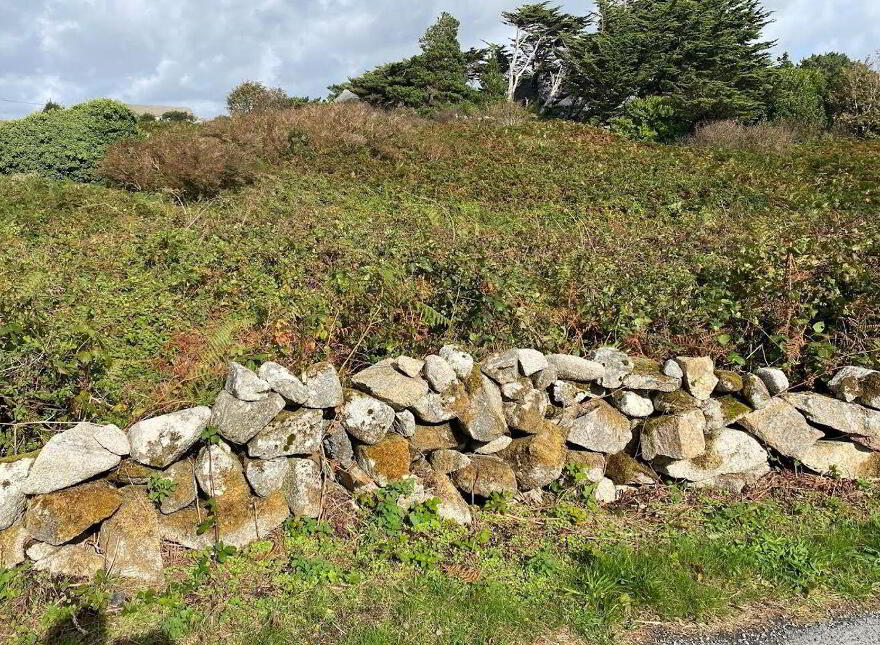 Bothar Bui, Carraroe