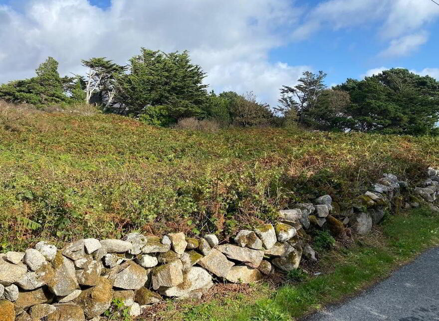Bothar Bui, Carraroe