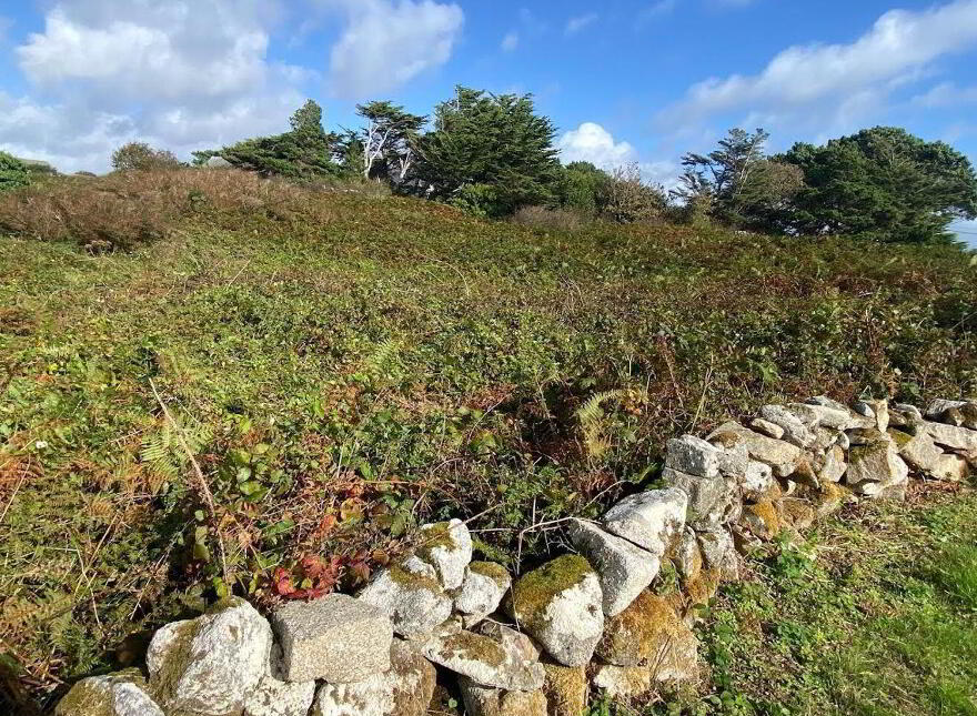 Bothar Bui, Carraroe