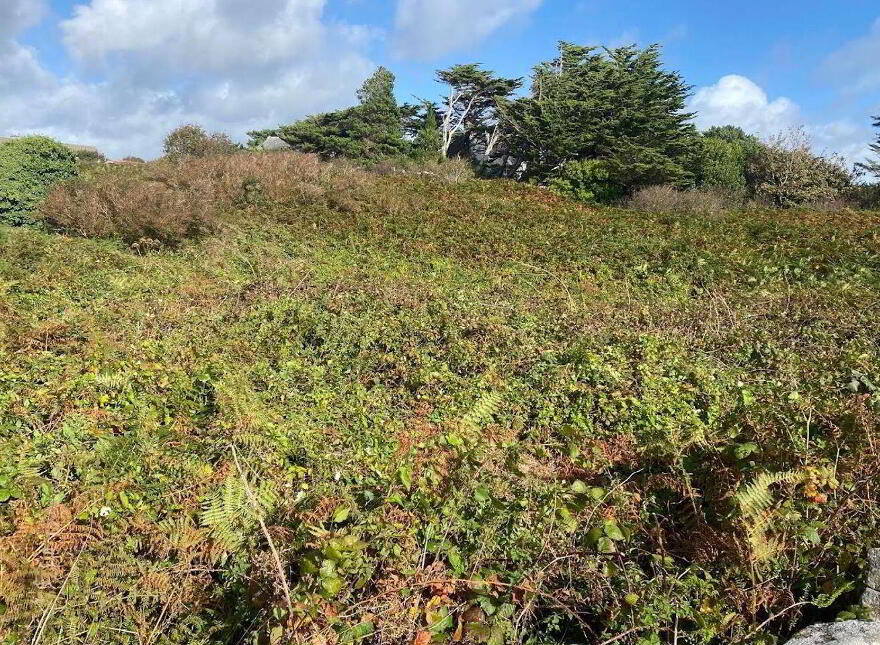 Bothar Bui, Carraroe
