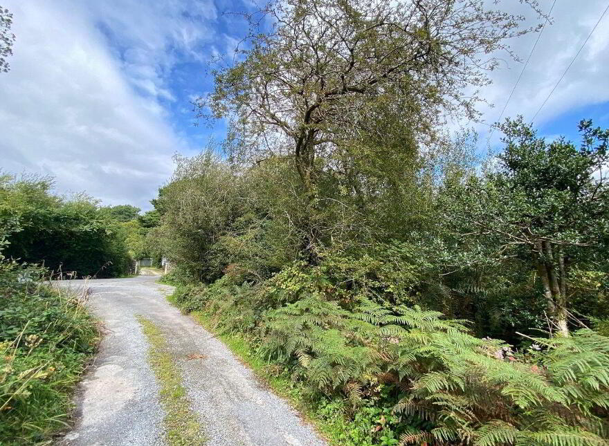 Lemonfield, Oughterard