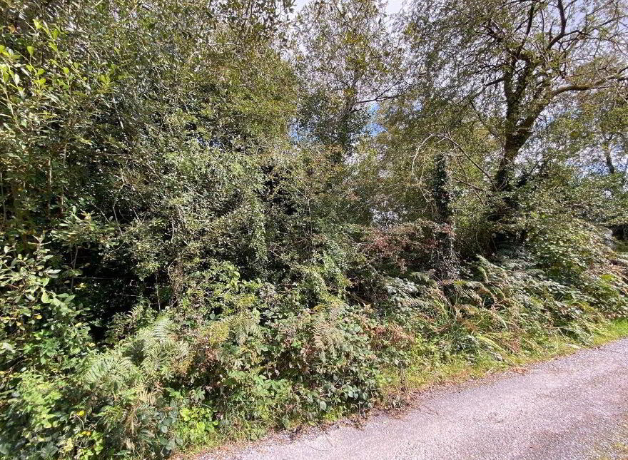 Lemonfield, Oughterard
