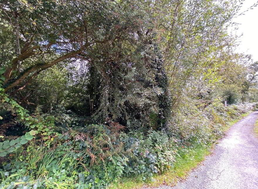 Lemonfield, Oughterard