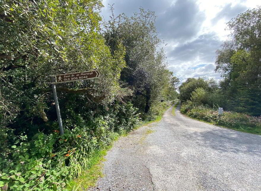 Lemonfield, Oughterard