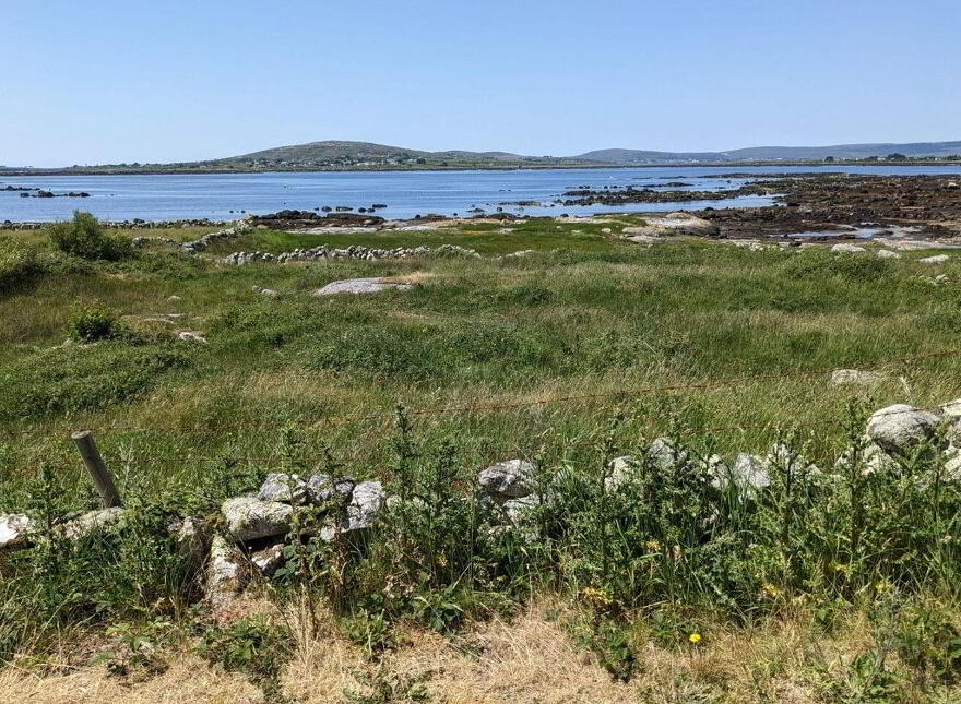 Toureen, Bealadangan, Carraroe