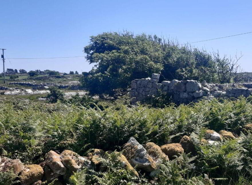 Toureen, Bealadangan, Carraroe