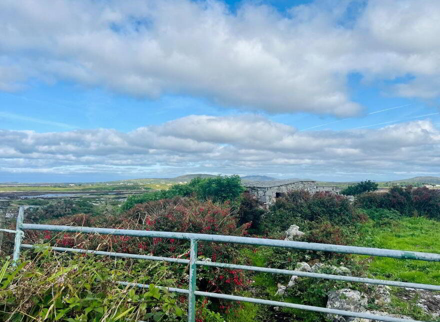 Rusheenamanagh, Carna