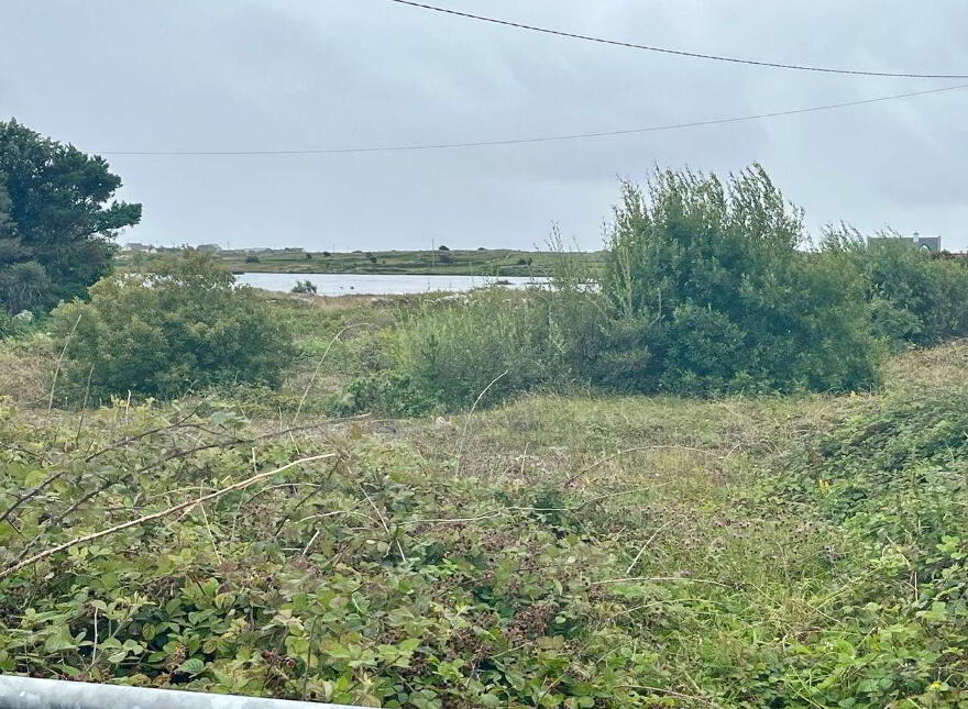 Bantrach, Ballynahown