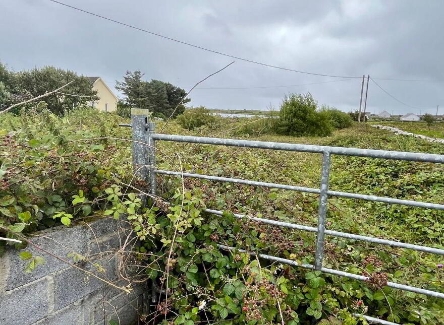 Bantrach, Ballynahown