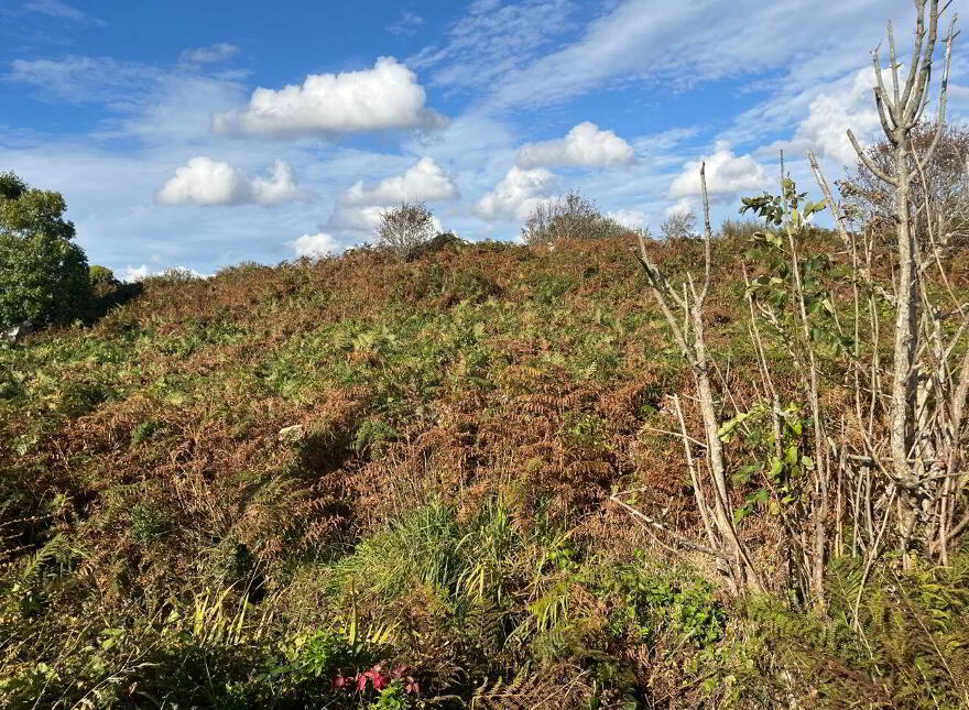 Derroogh, Rossaveel