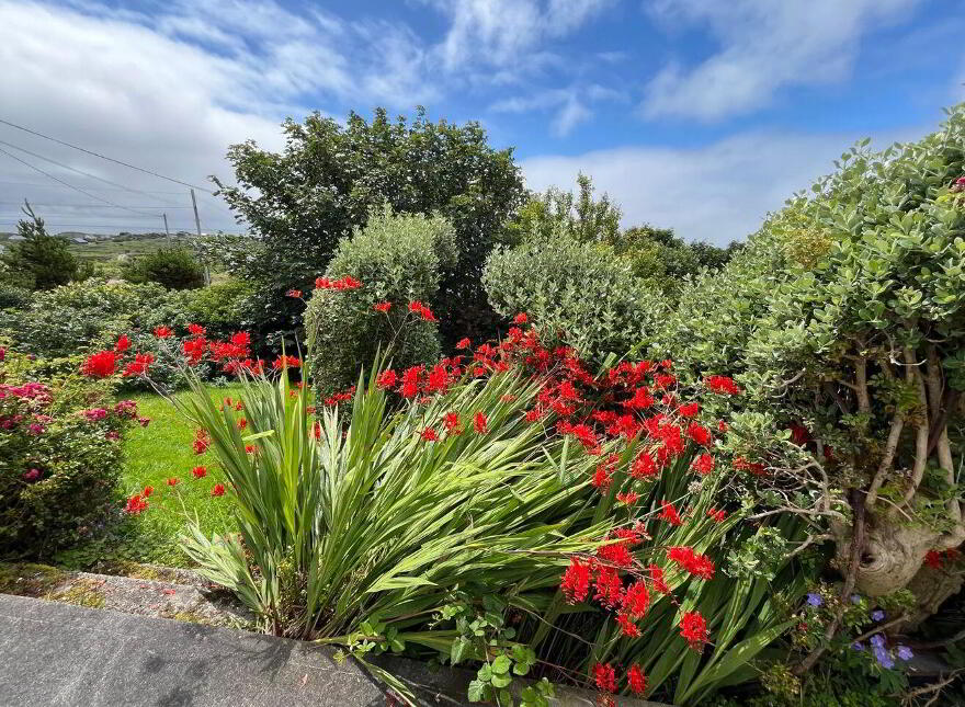 Demesne, Keeraunbeg, Carraroe, H91XY8R