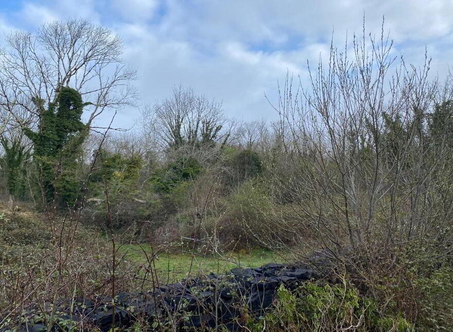 Cloonabinnia, Moycullen