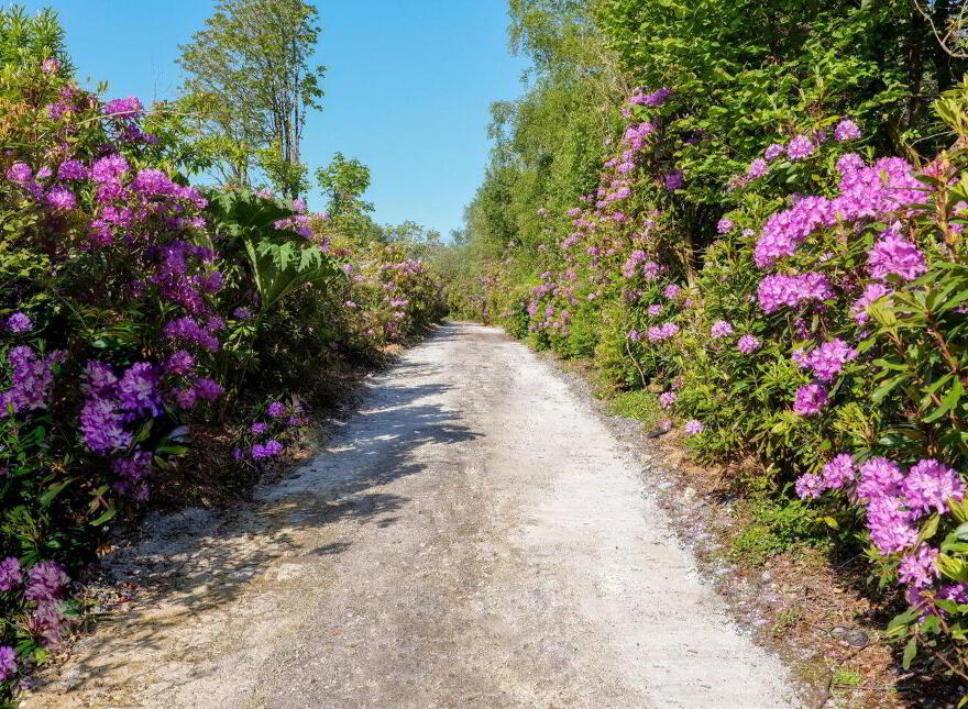 Kitts Bay - Lake Shore House, Glann Road, Oughterard, H91PN7P