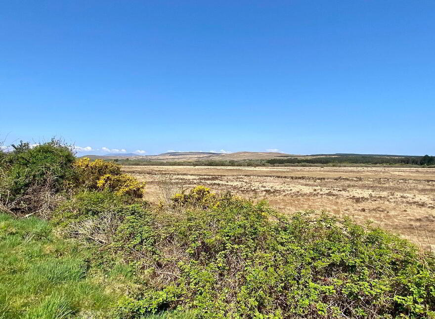 Rusheeny, Oughterard, H91NWV4