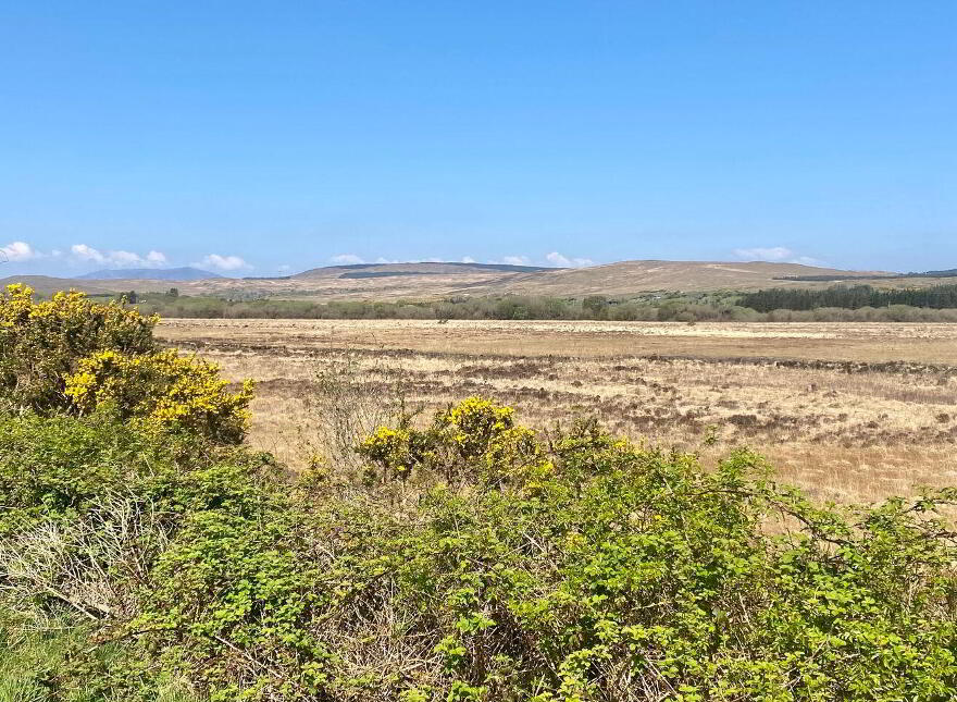 Rusheeny, Oughterard, H91NWV4