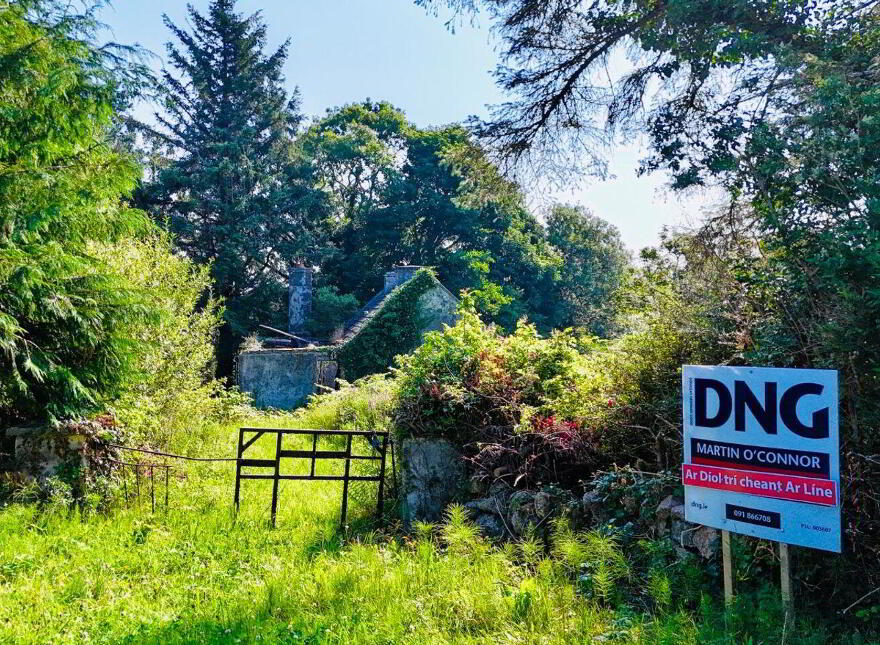 Turlough, Rosmuc