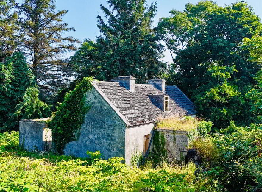 Turlough, Rosmuc