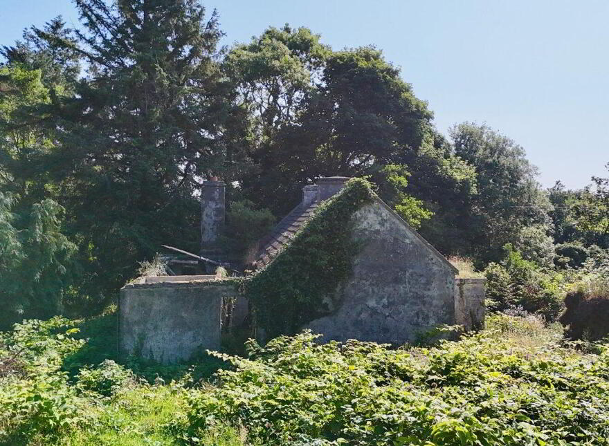 Turlough, Rosmuc