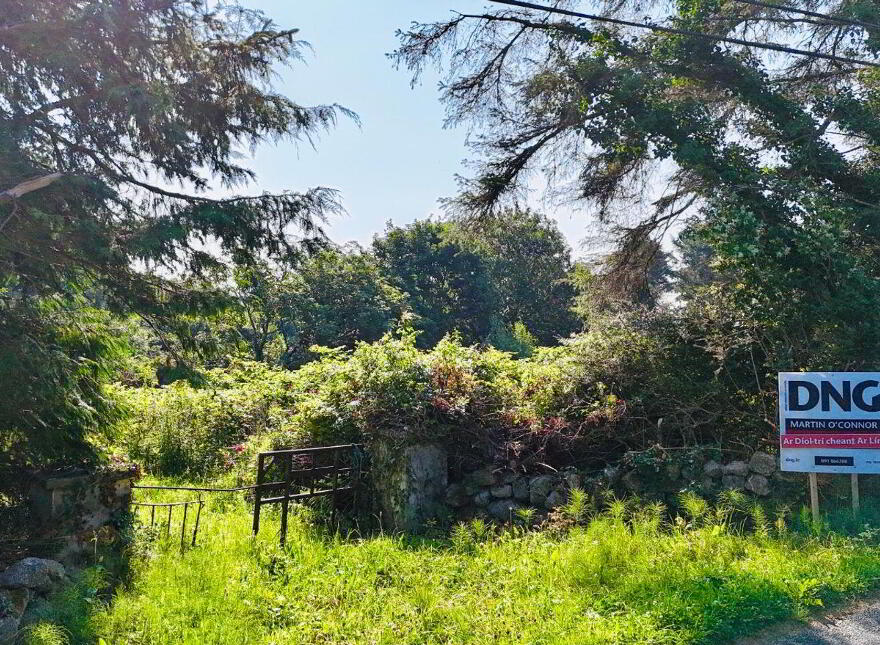 Turlough, Rosmuc