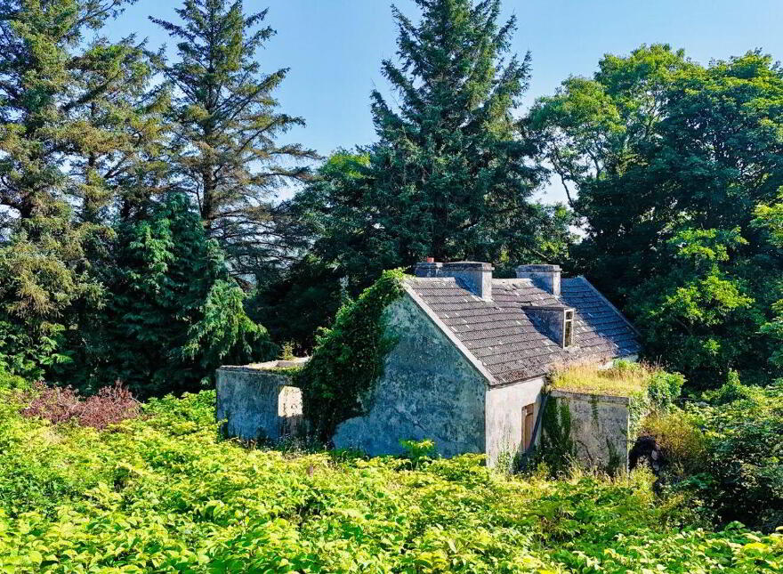 Turlough, Rosmuc