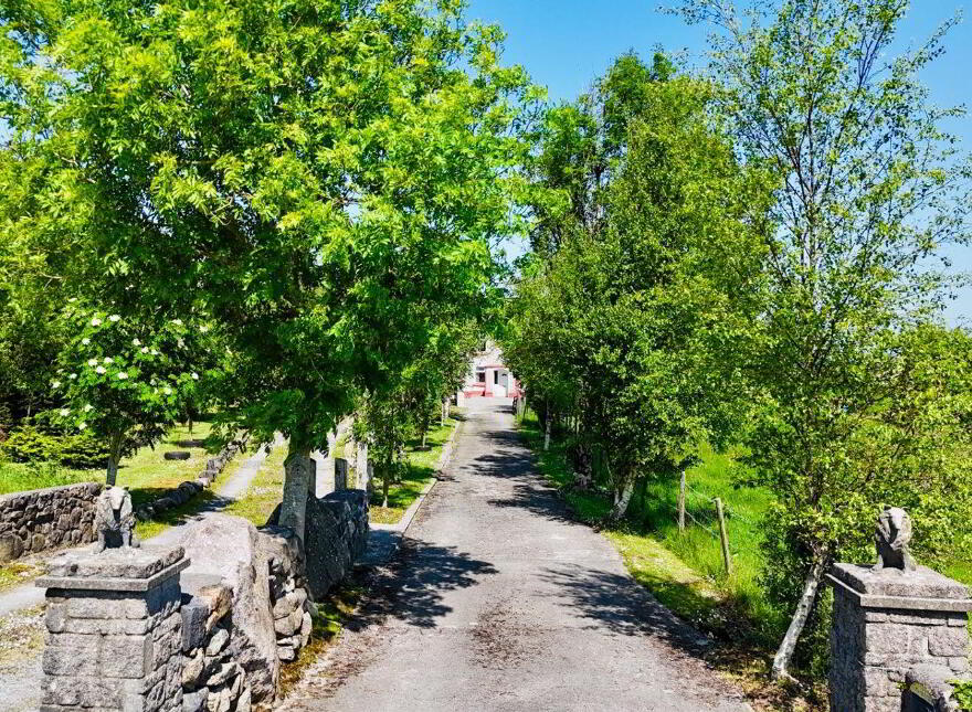 Drumaveg, Moycullen, H91W2WF