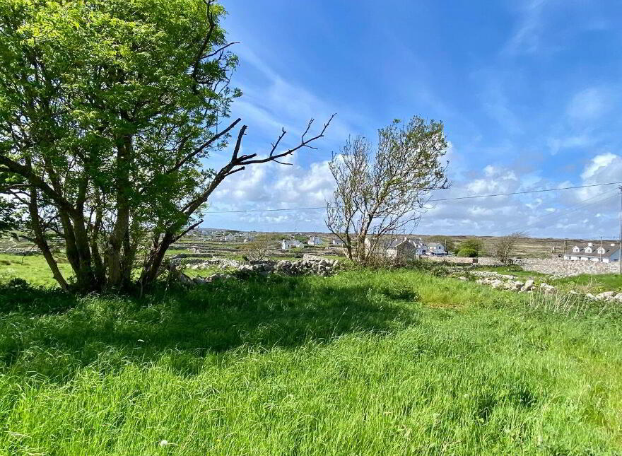 Bantrach, Ballinahown, Inverin, H91W4FH