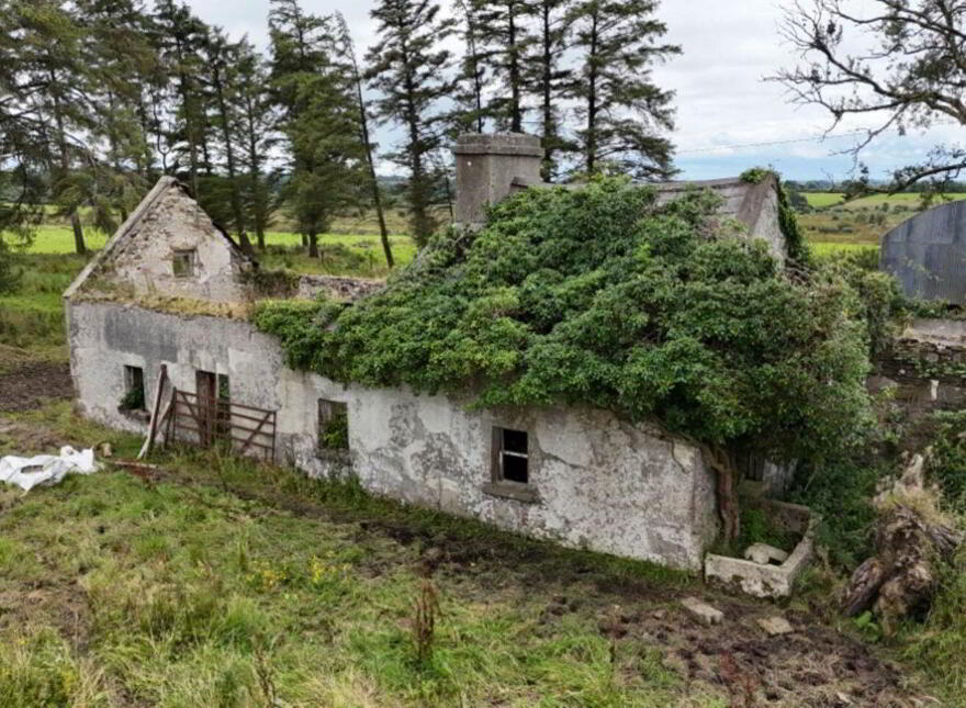 Baslick, Tully