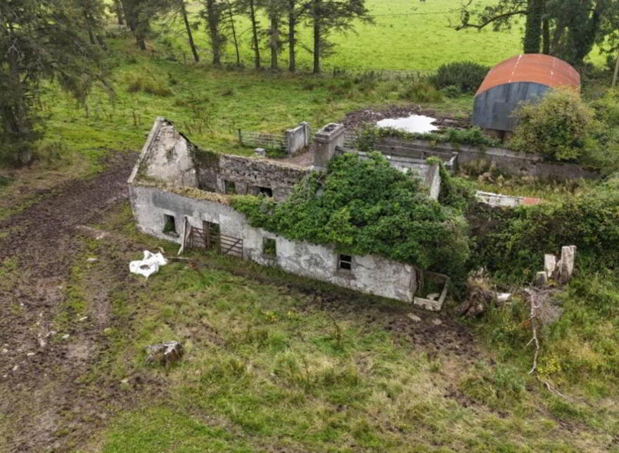 Baslick, Tully