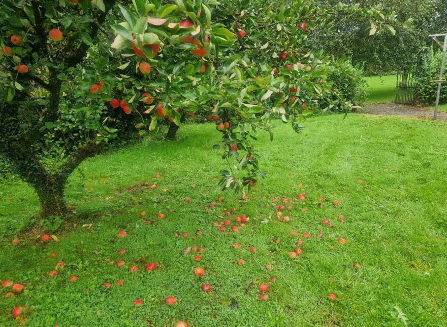 `irish House` On, C. 1.85 Acres, Creggs Road, Glenamaddy, F45D766